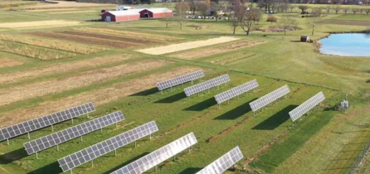 branza-elektryczna-rynek